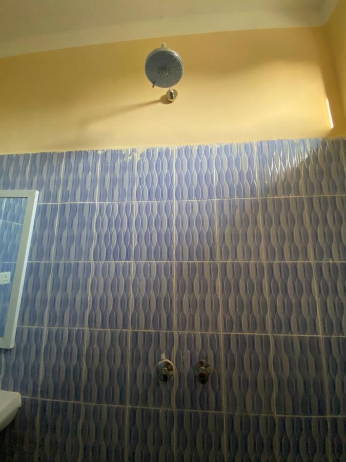 Village View Hostel Chanjani المظهر الخارجي الصورة